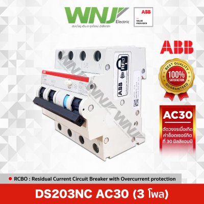 RCBO : DS203NC อุปกรณ์ป้องกันไฟรั่วไฟดูด