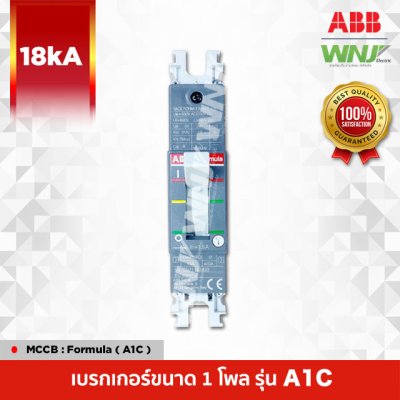 A1C 1P 18kA