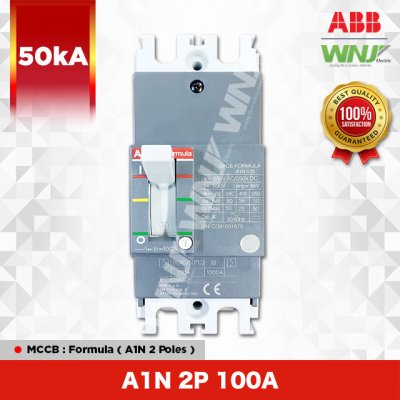 A1N 2P 100A