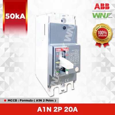 A1N 2P 20A