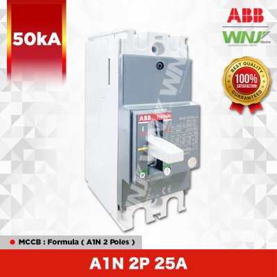 A1N 2P 25A
