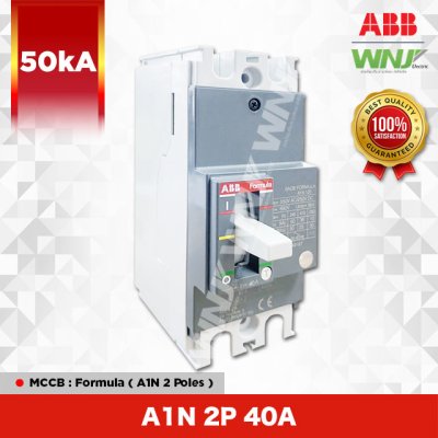 A1N 2P 40A