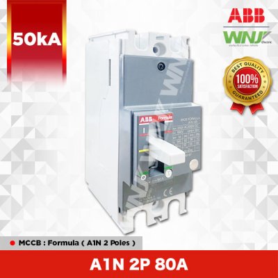 A1N 2P 80A
