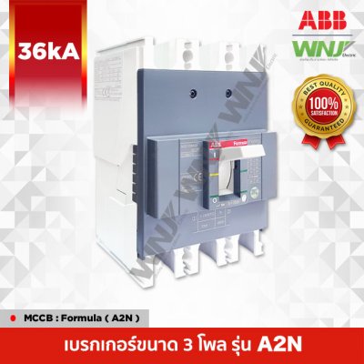 A2N 3P 36kA