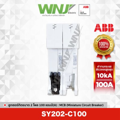 SY202-C100