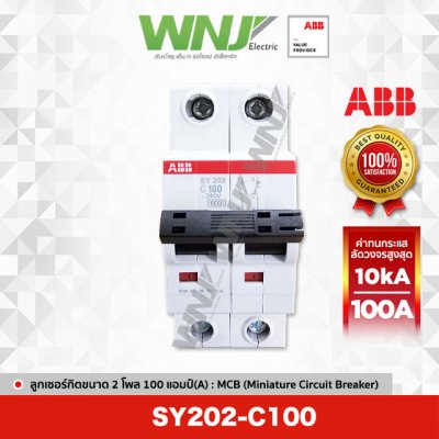 SY202-C100