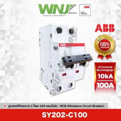 SY202-C100