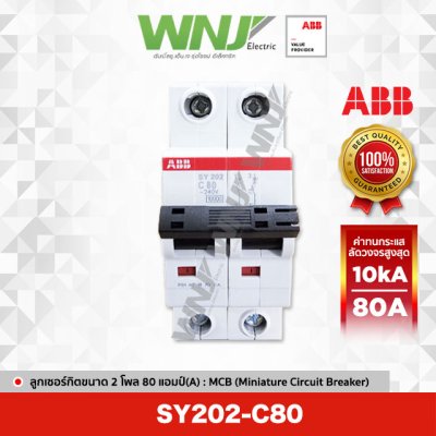 SY202-C80