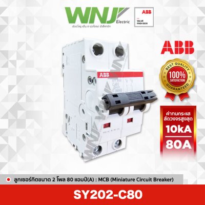 SY202-C80