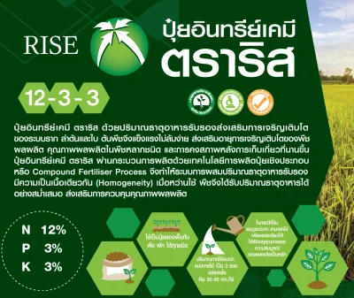 ปุ๋ยอินทรีย์เคมี12-3-3