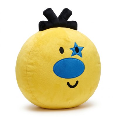 Soft Plush Pillow