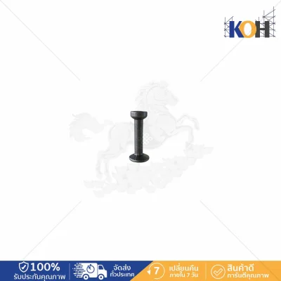 Lifting Anchor 1.3Tx55mm.