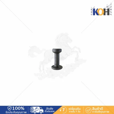 Lifting Anchor 2.5Tx55mm.