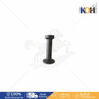 Lifting Anchor 10Tx135mm.