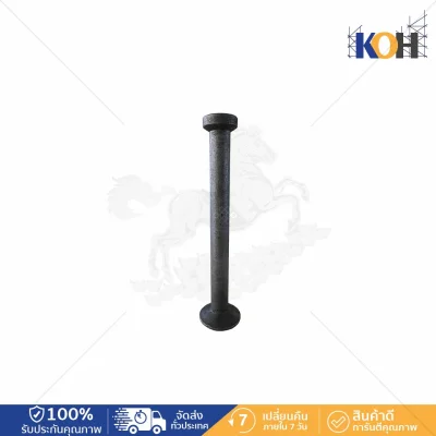 Lifting Anchor 10Tx300mm.