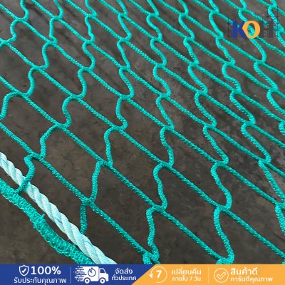 ตาข่ายกันตก Single Layer — Falling Arrest Net 6×10 ม.