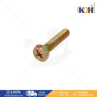 สกรูหัวเหลี่ยมแฉก H+M6x15 ชุบรุ้ง