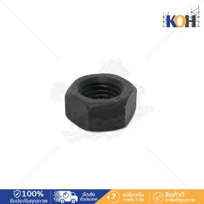 Hex Nut (Kg)