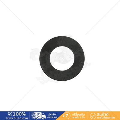 Flat Washer F436