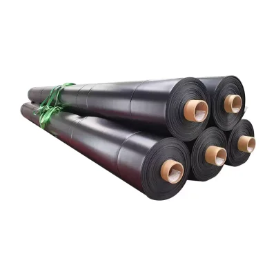 พลาสติกปูบ่อ HDPE พลาสติกปูบ่อน้ำ พลาสติกปูบ่อ HDPE พลาสติกปูบ่อน้ำ