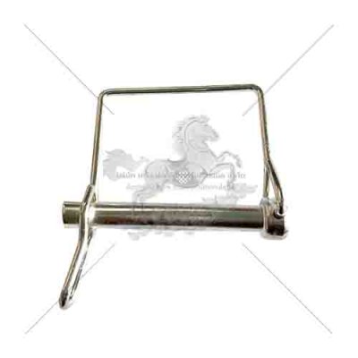 Snapper pin 38 for spigot