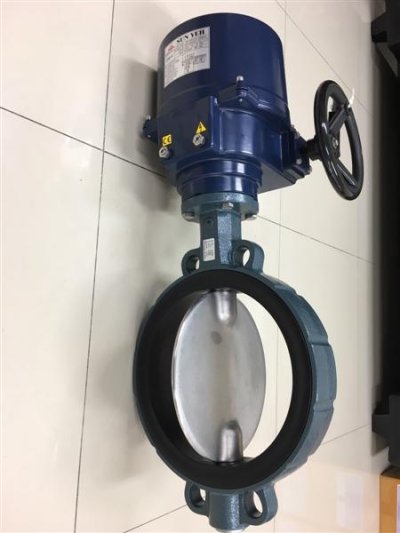 Sunyeh Electric actuator