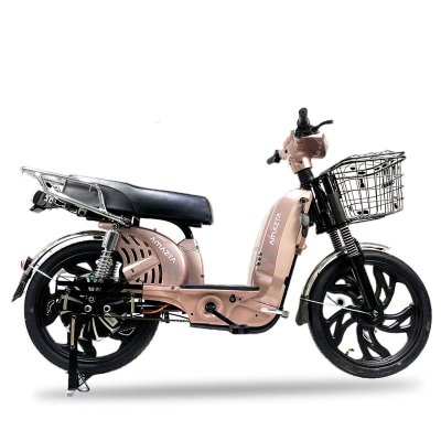 EV Bike B1 PINK