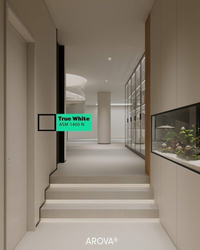 ASM 1400N True White