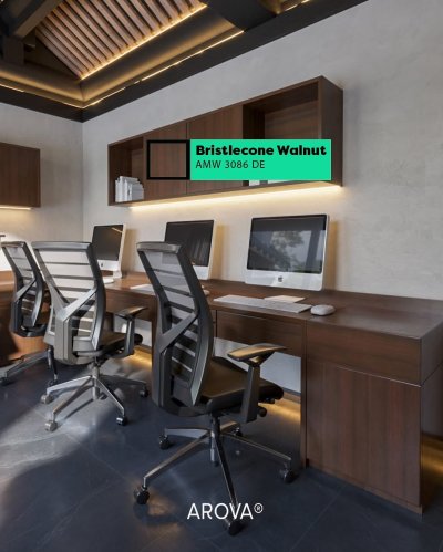 AMW 3086DE Bristlecone Walnut