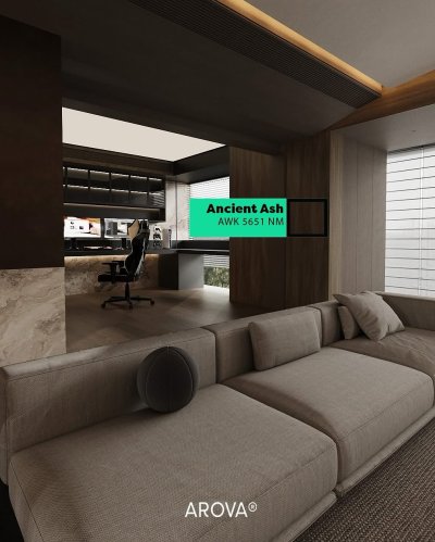 AWK 5651NM Ancient Ash
