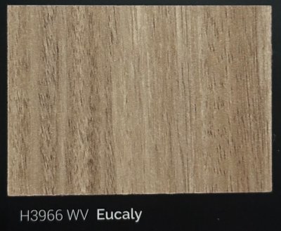 H3966 WV Eucaly