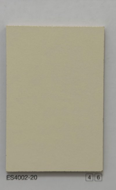ES4002-20 Matt