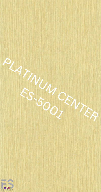 ES5001-12 Woodgrain