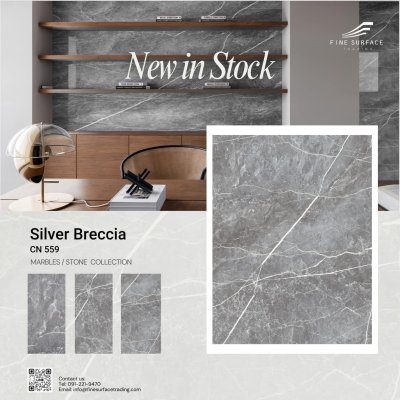 CN 559 Silver Breccia