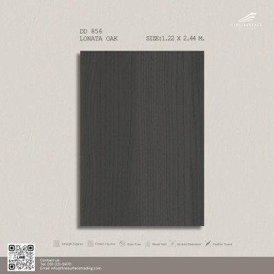 DD 856 Lonata Oak
