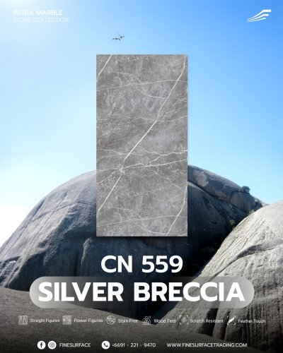 CN 559 Silver Breccia