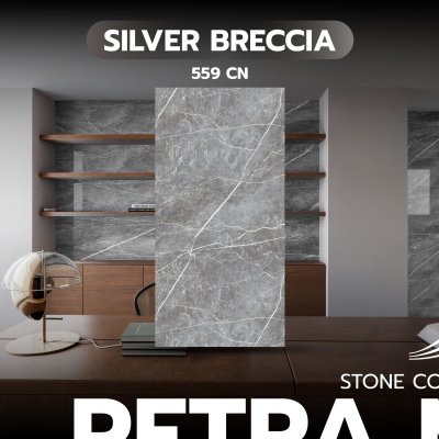 CN 559 Silver Breccia