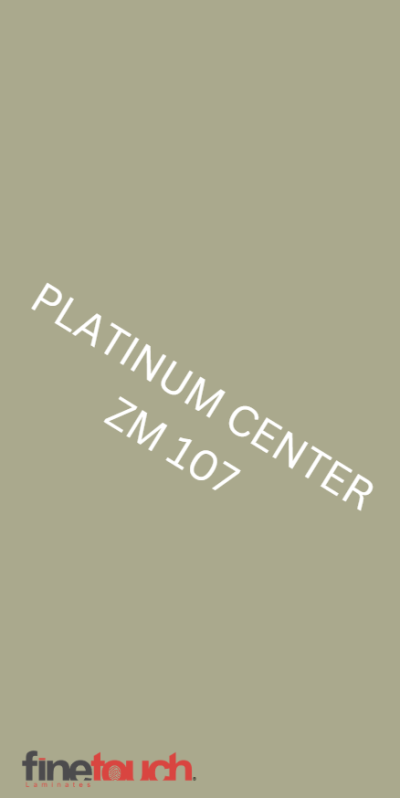 ZM 107 African Plain