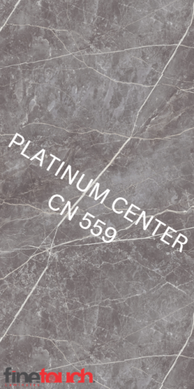 CN 559 Silver Breccia