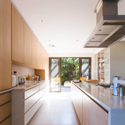 GWC 728 European White Elm