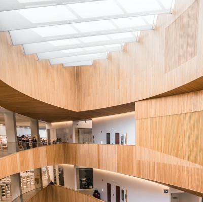 GWC 728 European White Elm