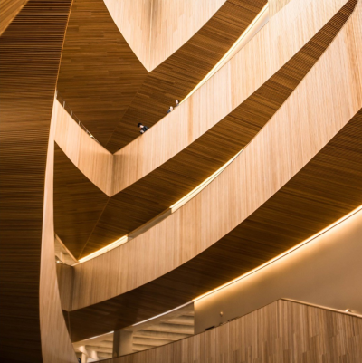 TRC 5375 Saturno Walnut