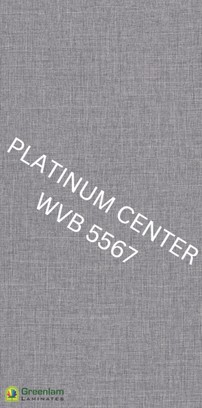 WVB 5567 Grey Mesh