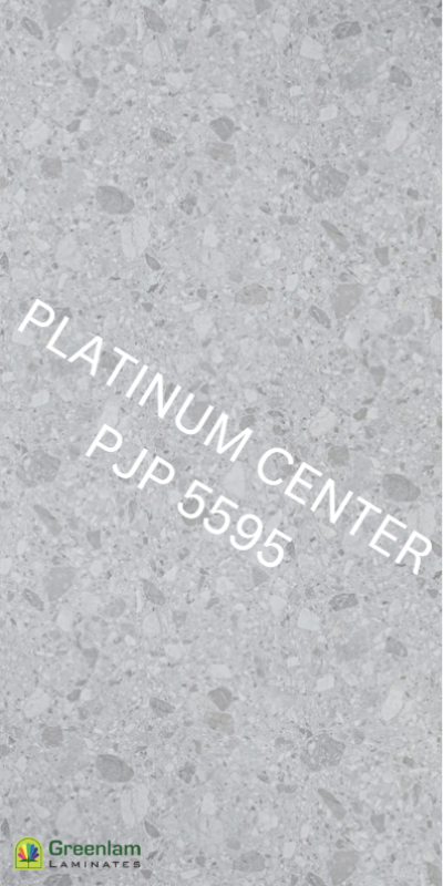 PJP 5595 Scala Grey