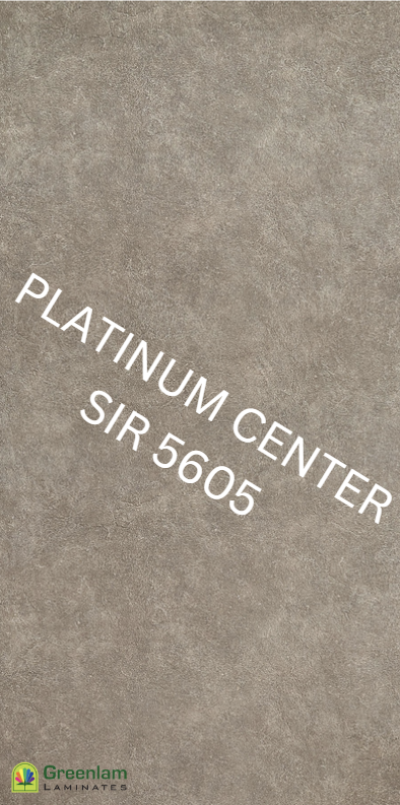 SIR 5605 Euclid Grey
