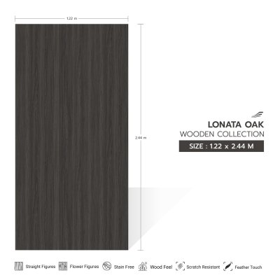 SF 856 Lonata Oak