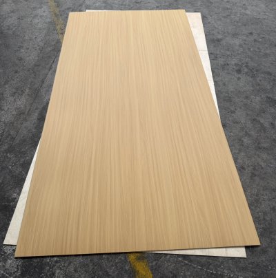 KV-9191NT European Elm