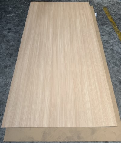 KV-9124KR Korea Elm