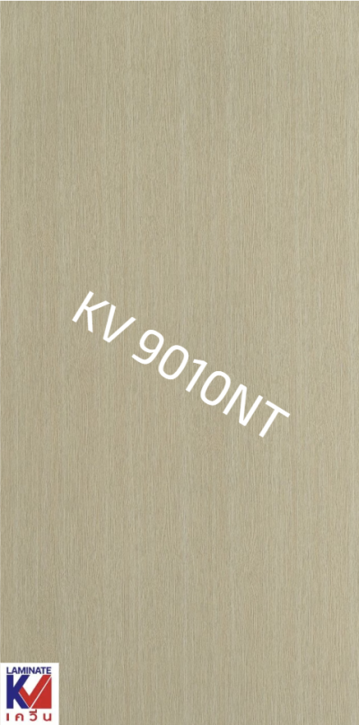 KV 9010NT