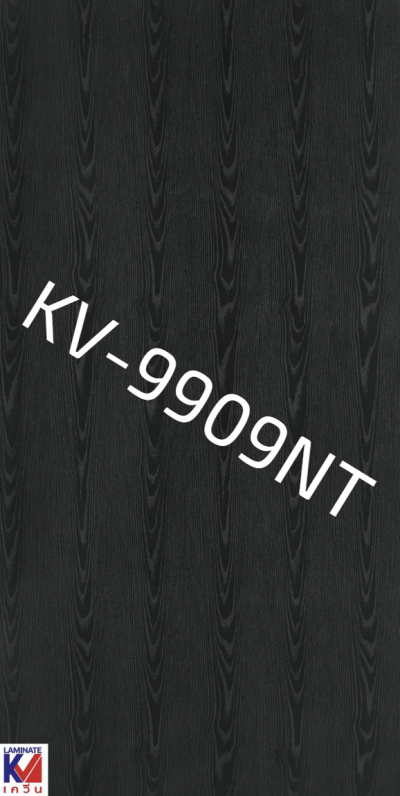 KV-9909NT Mt.Black